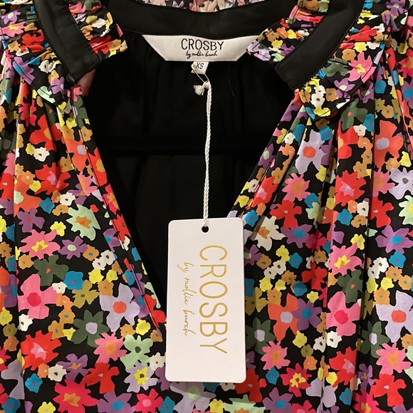 *NWT* Crosby By Mollie Burch Isabelle Dress in Tea Garden - Picture 6 of 12